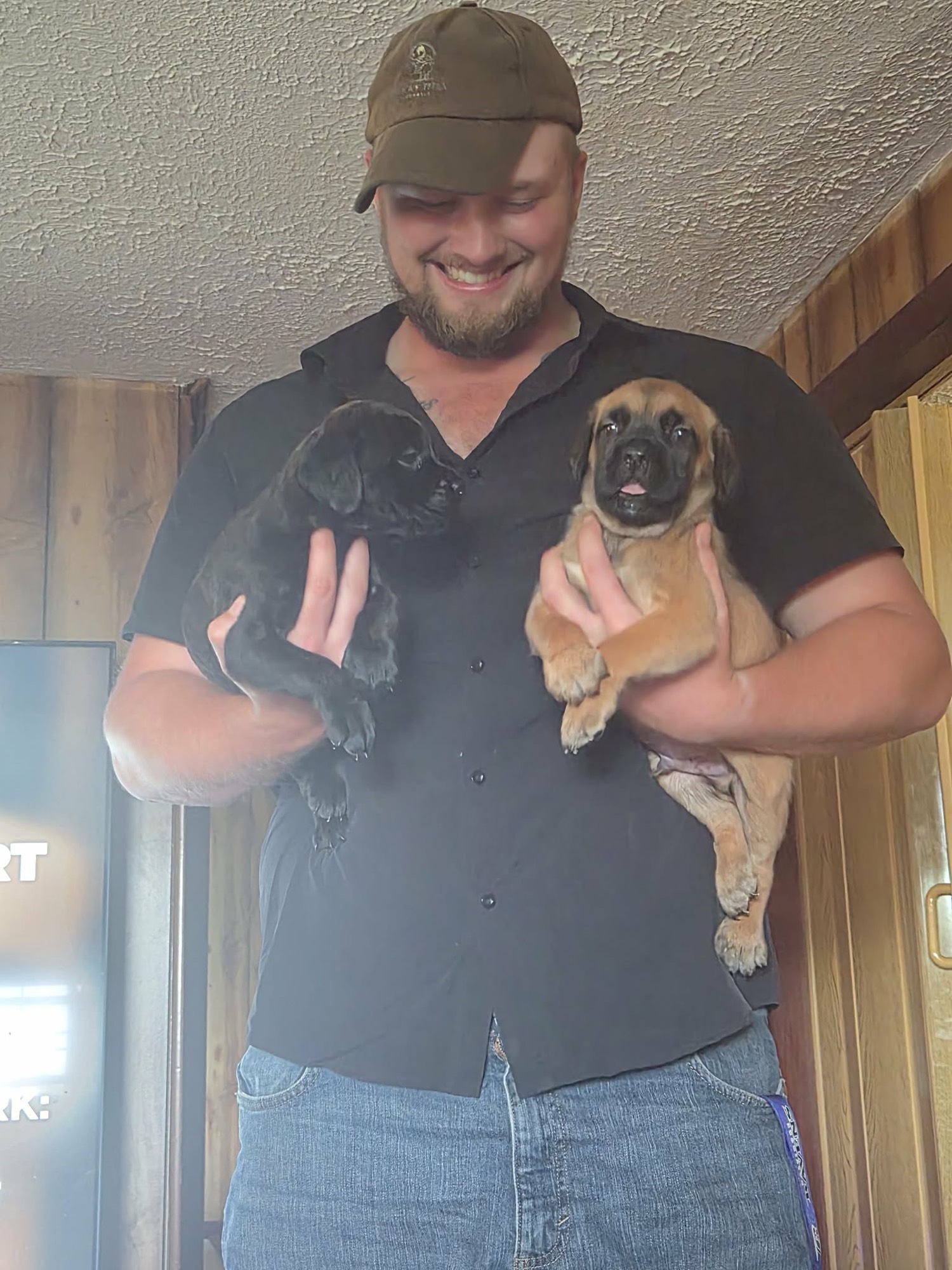Rocky Titan Kennels puppies